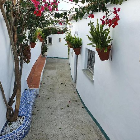 La Chanca Hotell Conil De La Frontera Exteriör bild